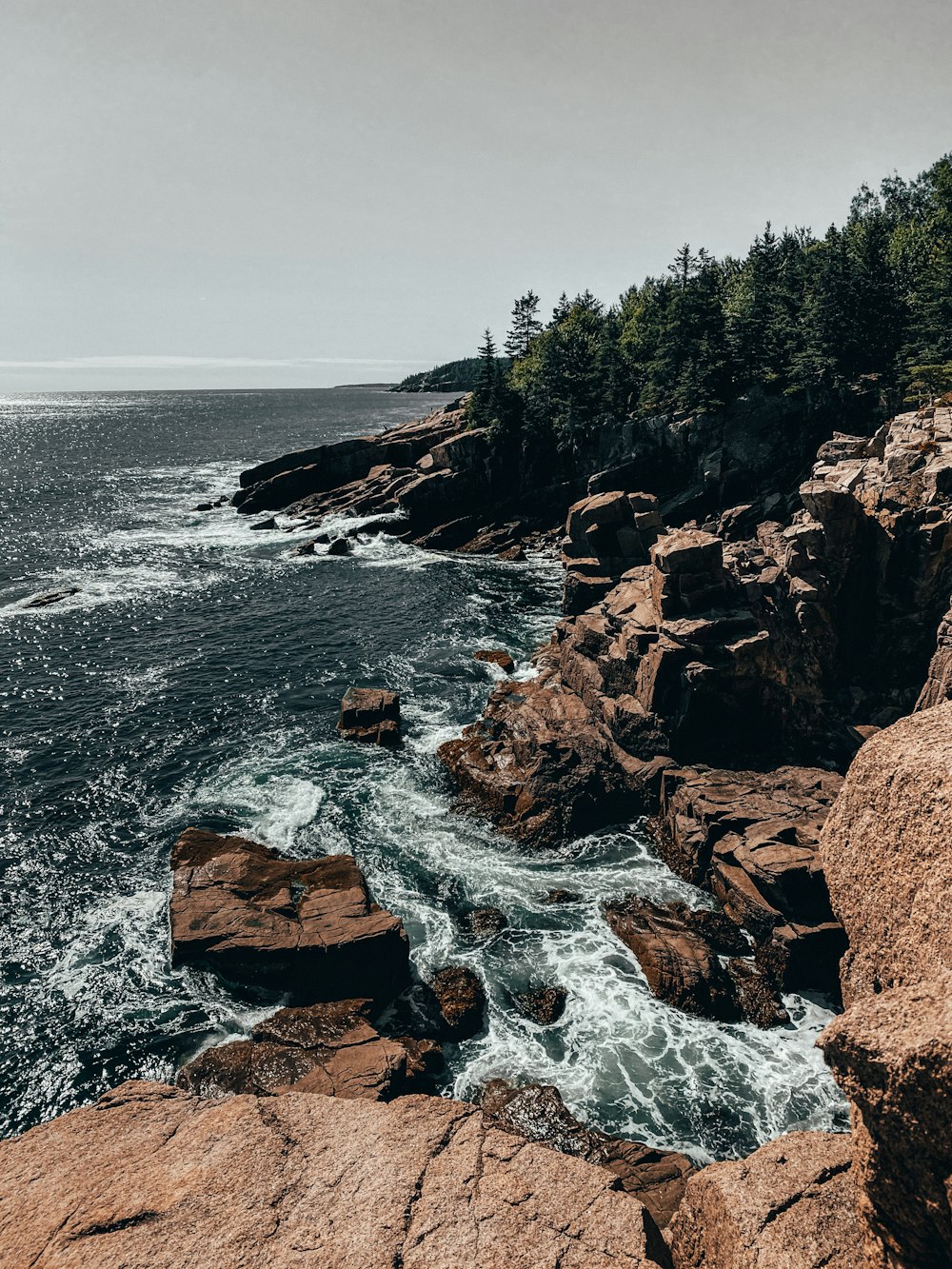 Rivage rocheux brun avec des arbres verts et des vagues de l’océan pendant la journée