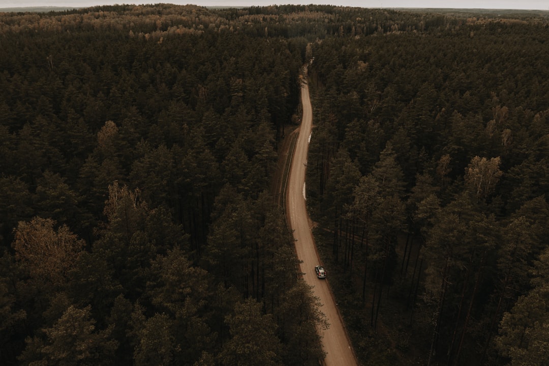 aerial view of road in the middle of green trees