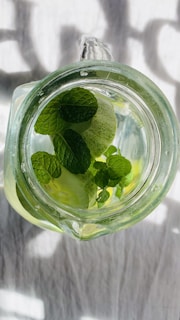 A bright citrus-infused water pitcher with slices of lemon, lime, and fresh mint leaves