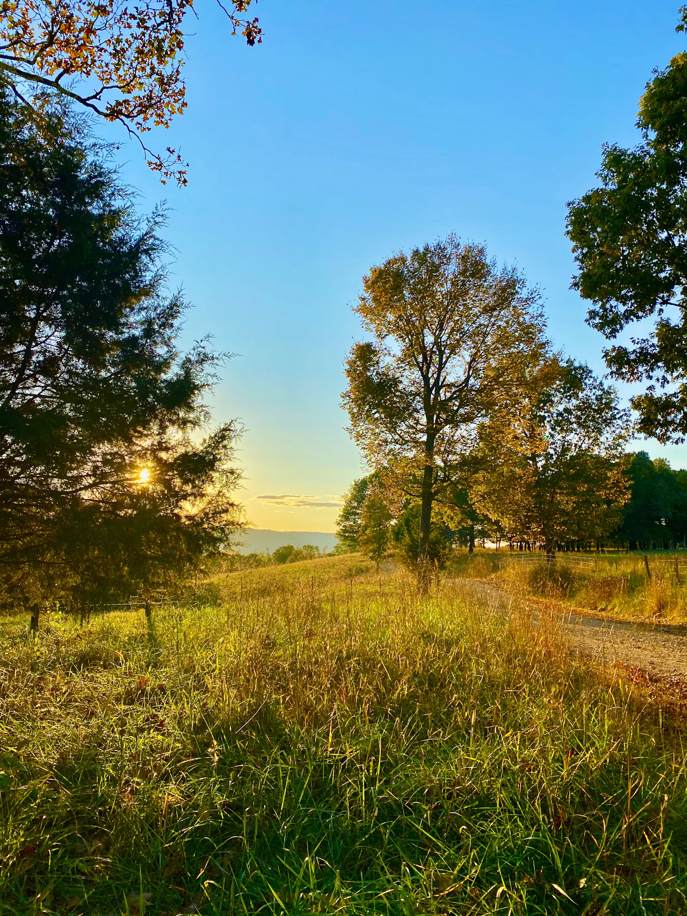 Golden October sunset over a grassy field and a gravel road in the hills near the Buffalo River, Arkansas