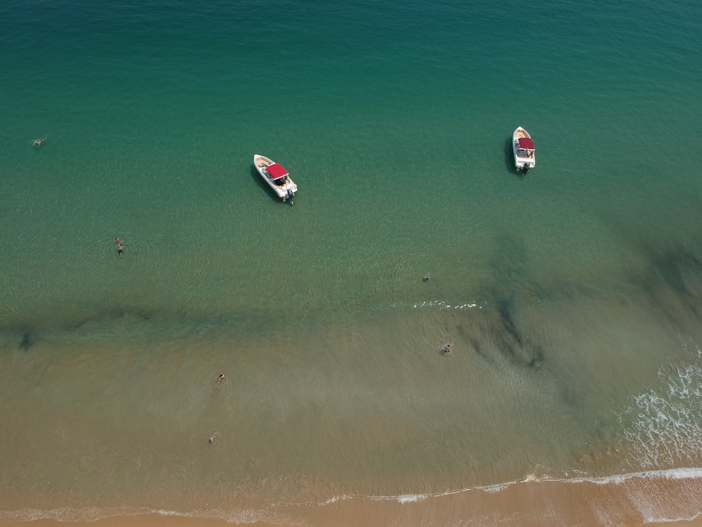 white and red boat on sea shore during daytime