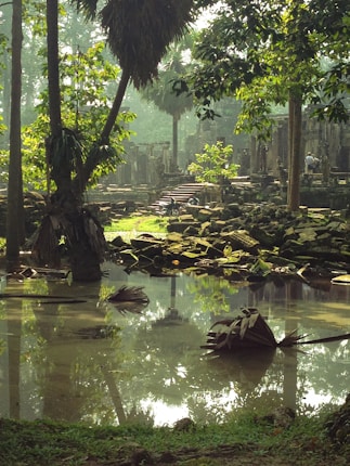 A tranquil scene featuring ancient stone ruins surrounded by lush green vegetation. There is a small pool of water in the foreground, reflecting the trees and the bright greenery of the environment. Sunlight filters through the leaves, casting dappled shadows on the stone structures and ground, creating a serene and peaceful ambiance.