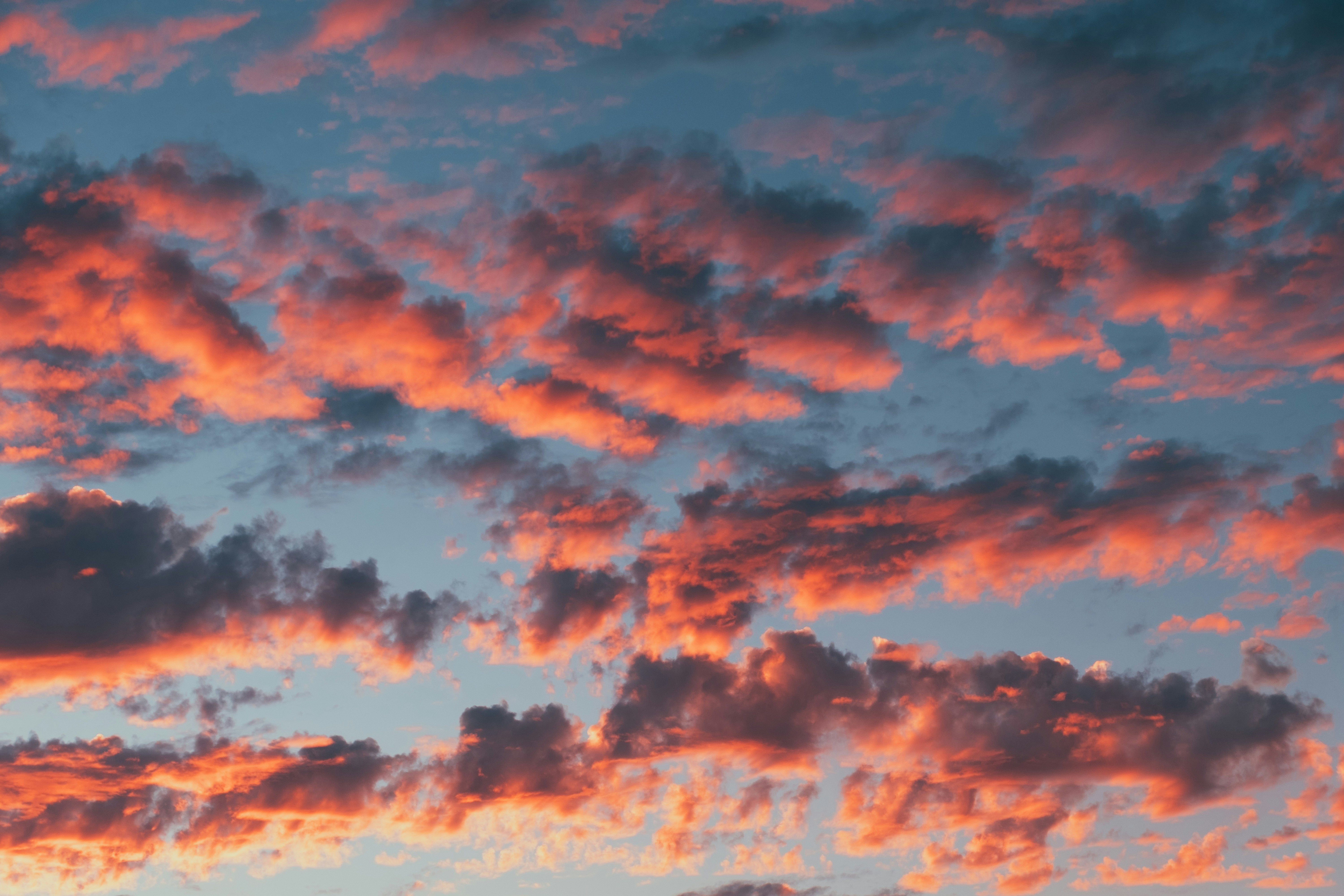 Sunset Clouds Pictures Download Free Images On Unsplash