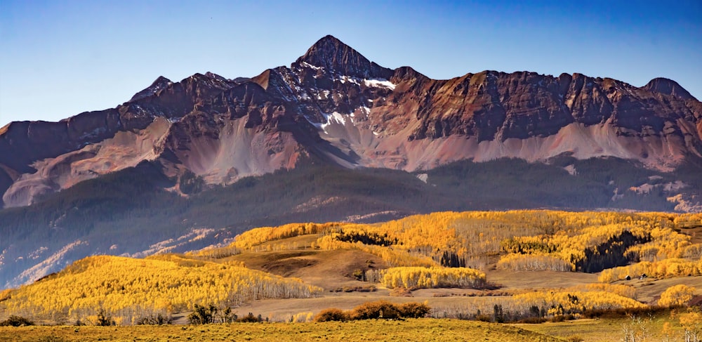 brown and white mountains under blue sky during daytime