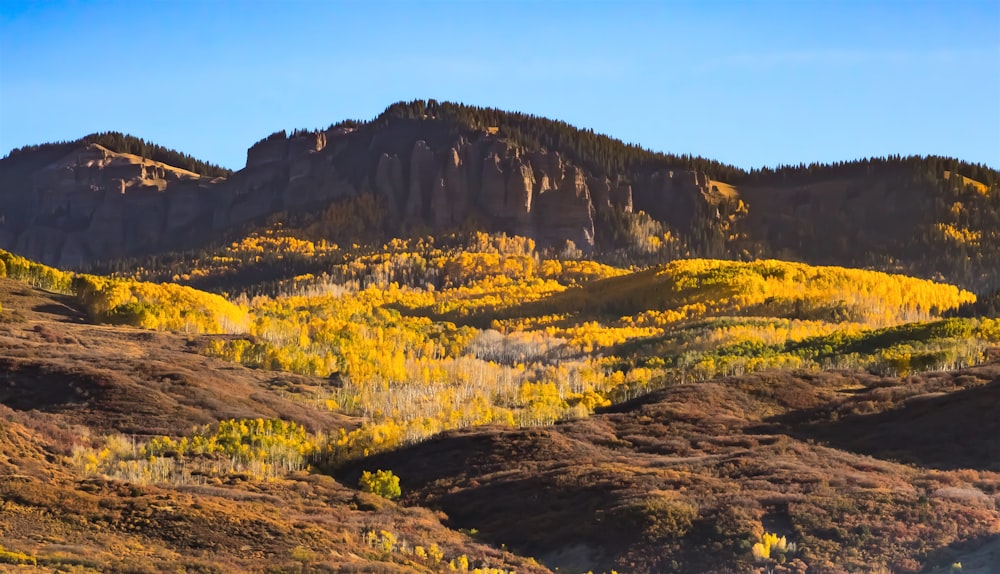 brown and green mountain under blue sky during daytime