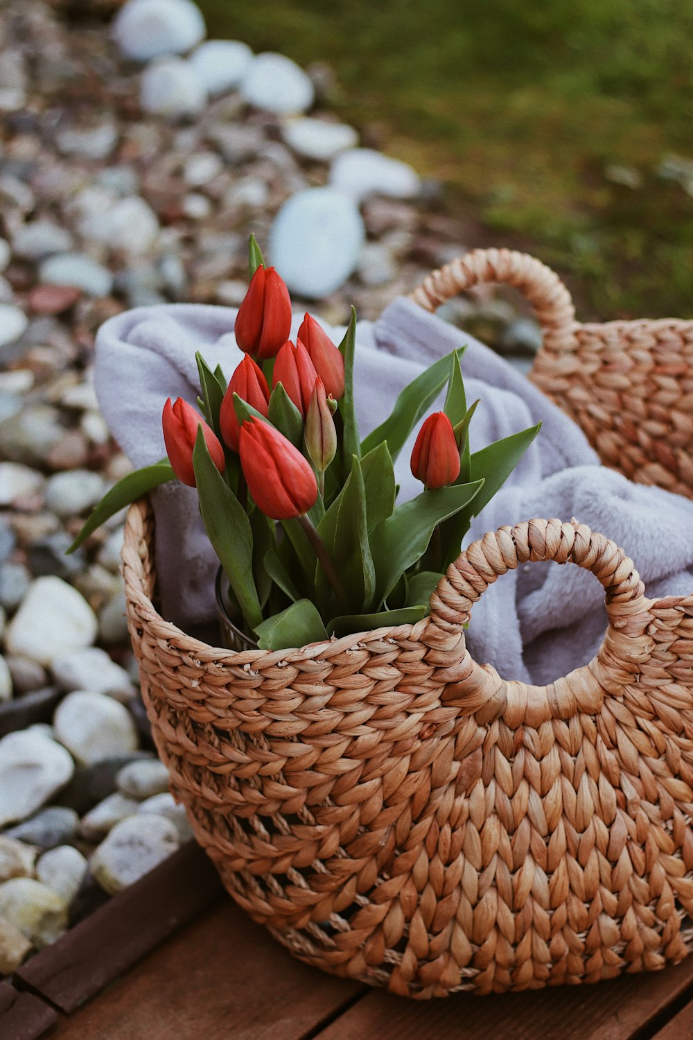 white and red tulips in brown woven basket