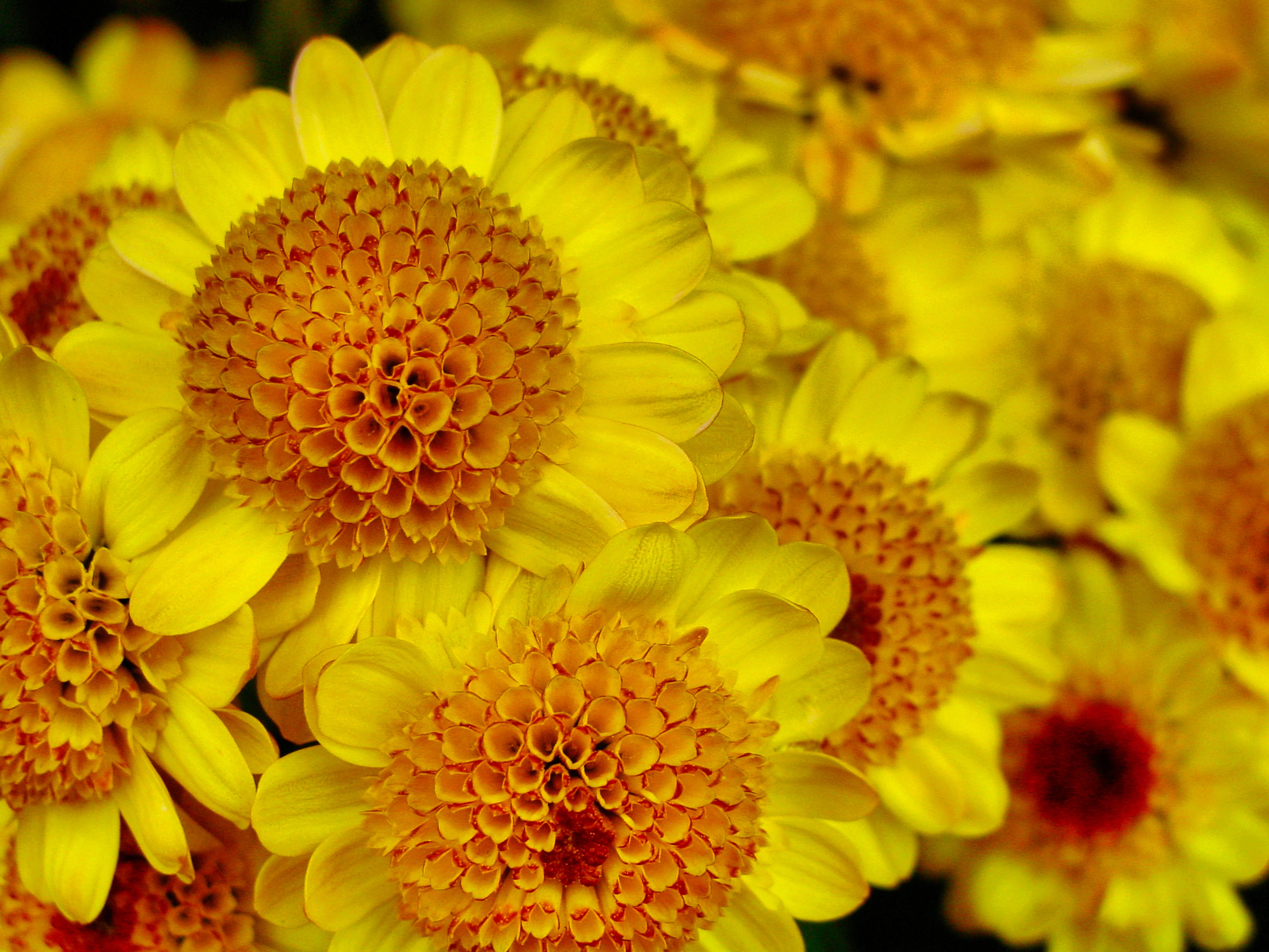 Photo by thomaskinto