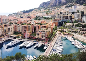 aerial view of city buildings near body of water during daytime