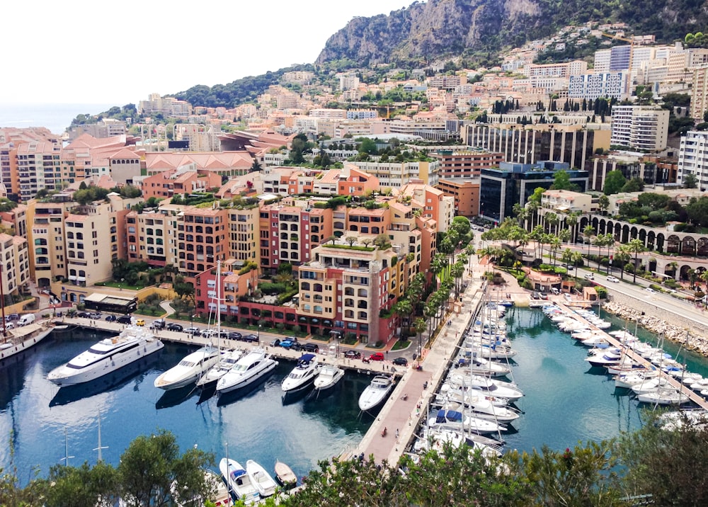 aerial view of city buildings near body of water during daytime