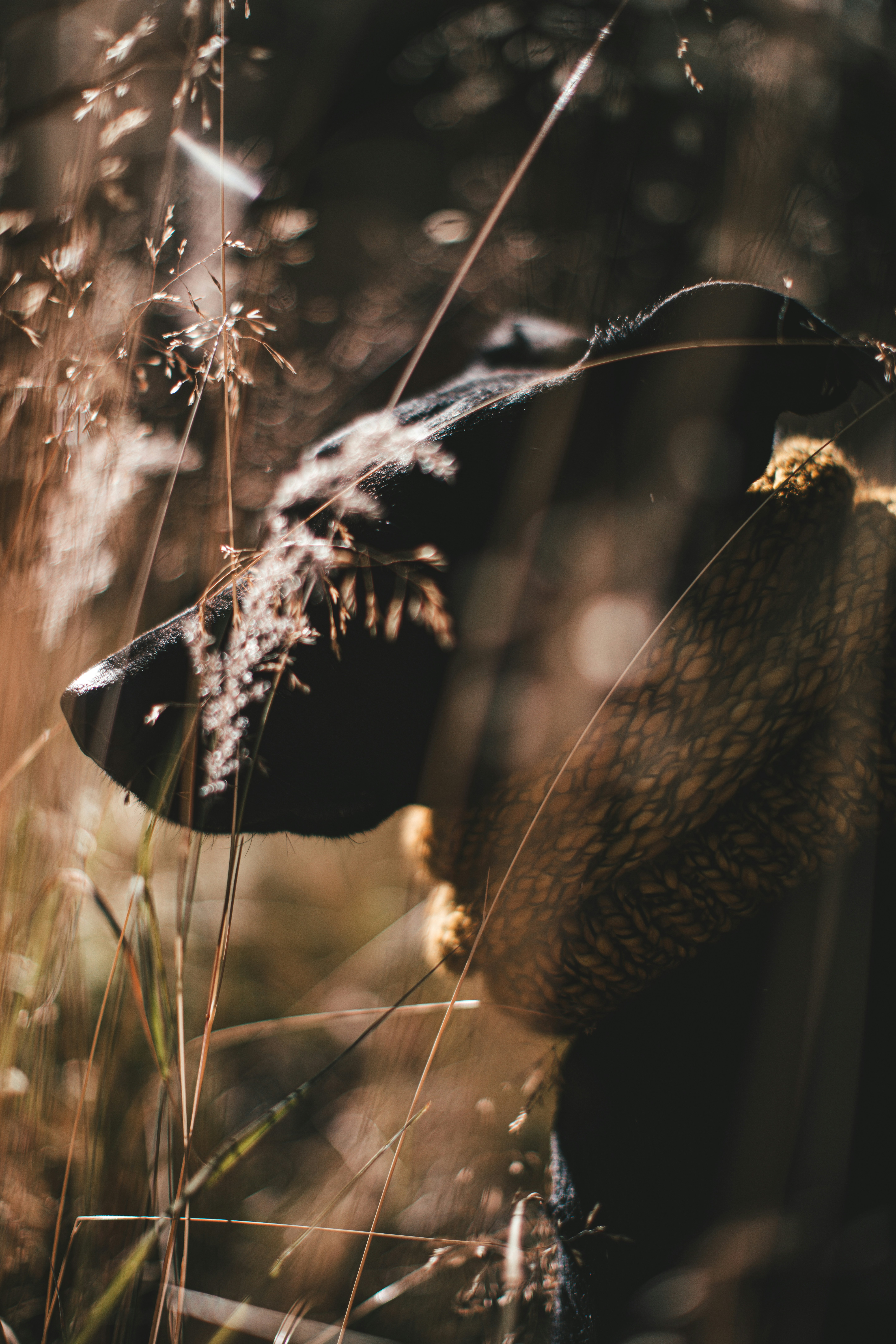 Photo by worldsbetweenlines