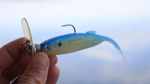 A person is holding a blue and yellow fishing lure in their hand. The lure has a fish shape with a metal hook on top and a translucent lip at the front. The background is softly blurred, suggesting an outdoor setting, possibly near water.