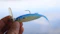 A person is holding a blue and yellow fishing lure in their hand. The lure has a fish shape with a metal hook on top and a translucent lip at the front. The background is softly blurred, suggesting an outdoor setting, possibly near water.