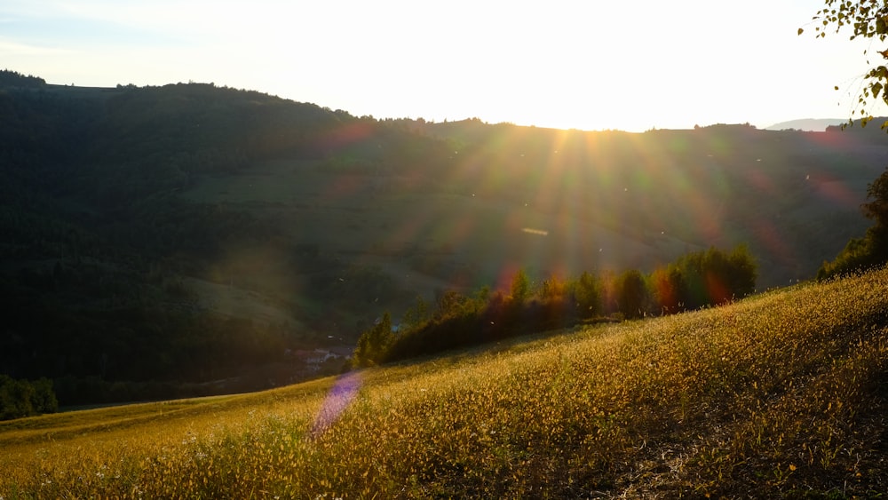 campo di erba verde vicino alla montagna durante il giorno