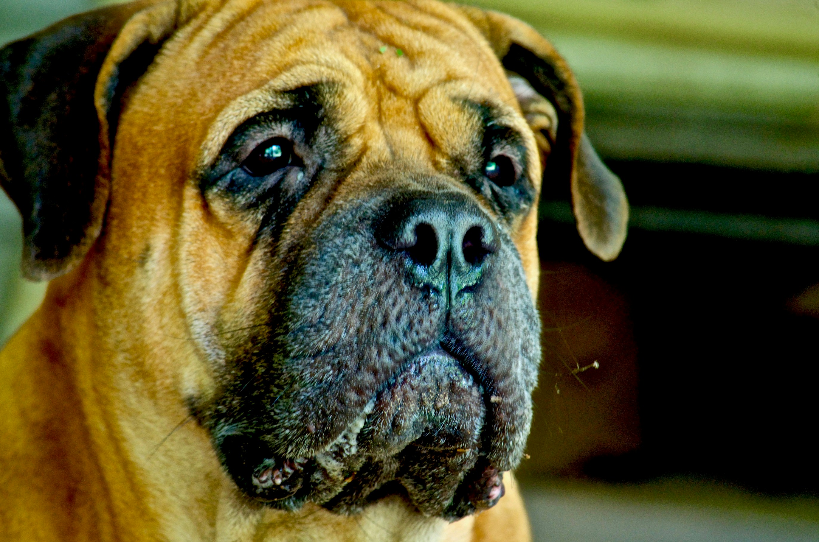 Photo by nilugunaratne