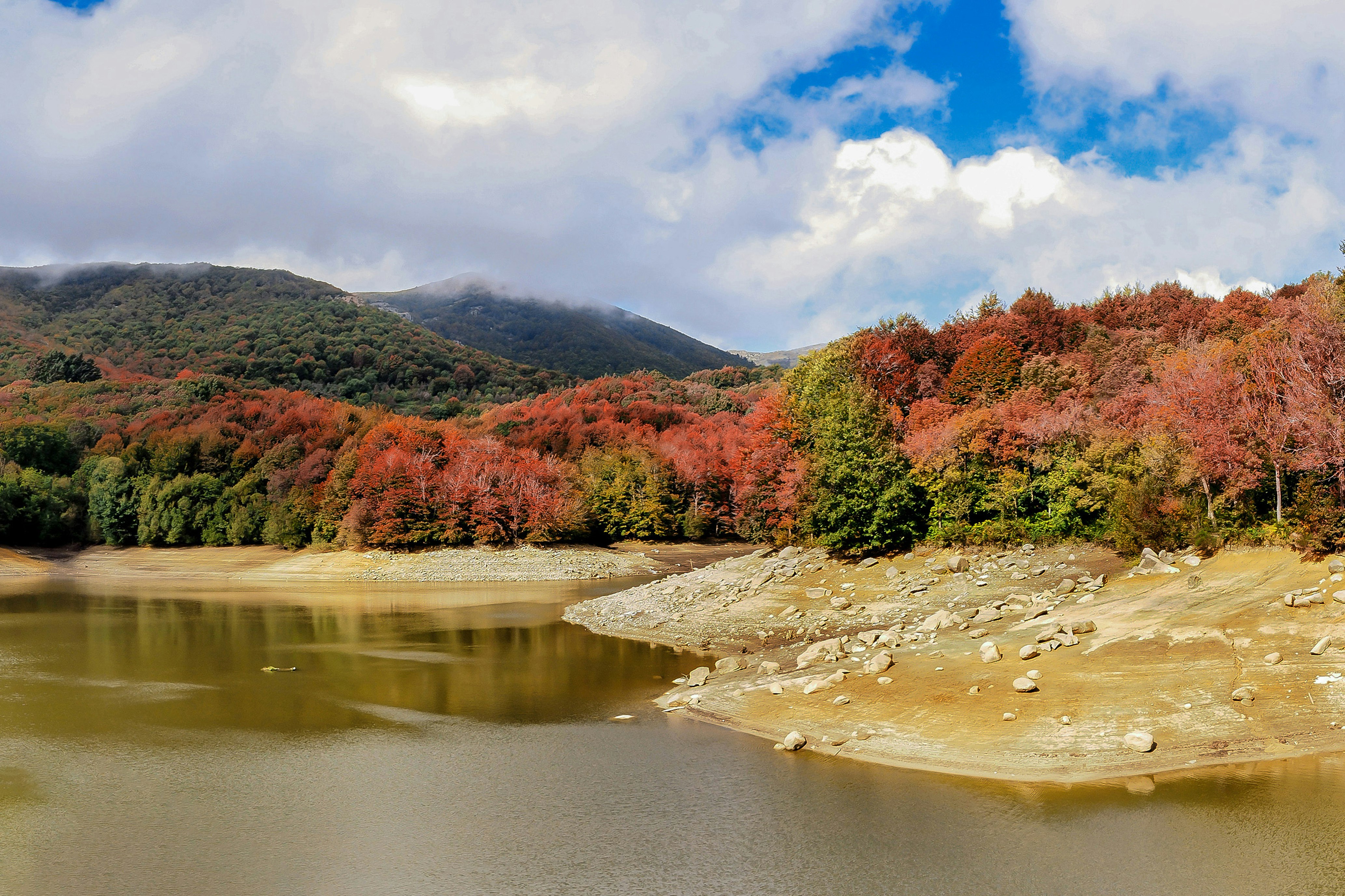 green and red trees beside river under white clouds and blue sky during daytime