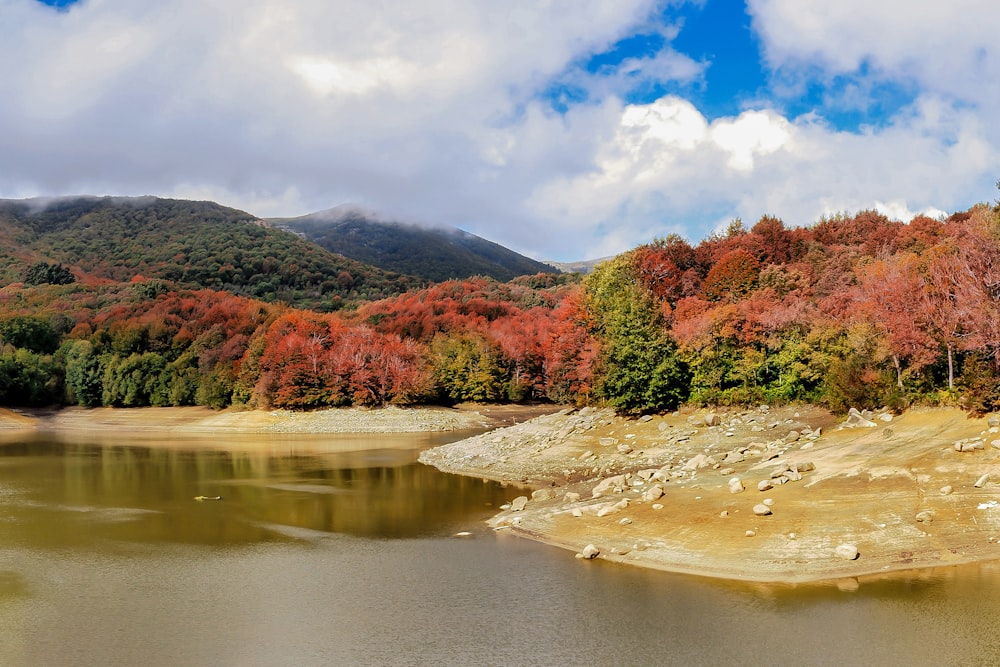 green and red trees beside river under white clouds and blue sky during daytime