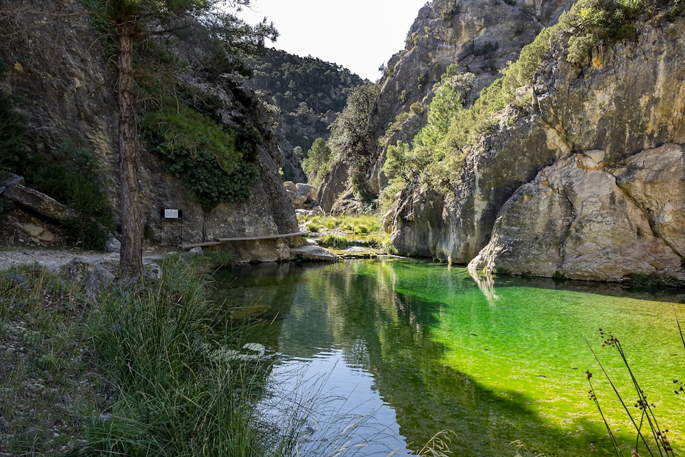 green river between gray rocky mountain during daytime