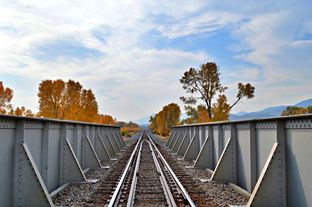 train rail near trees under cloudy sky during daytime