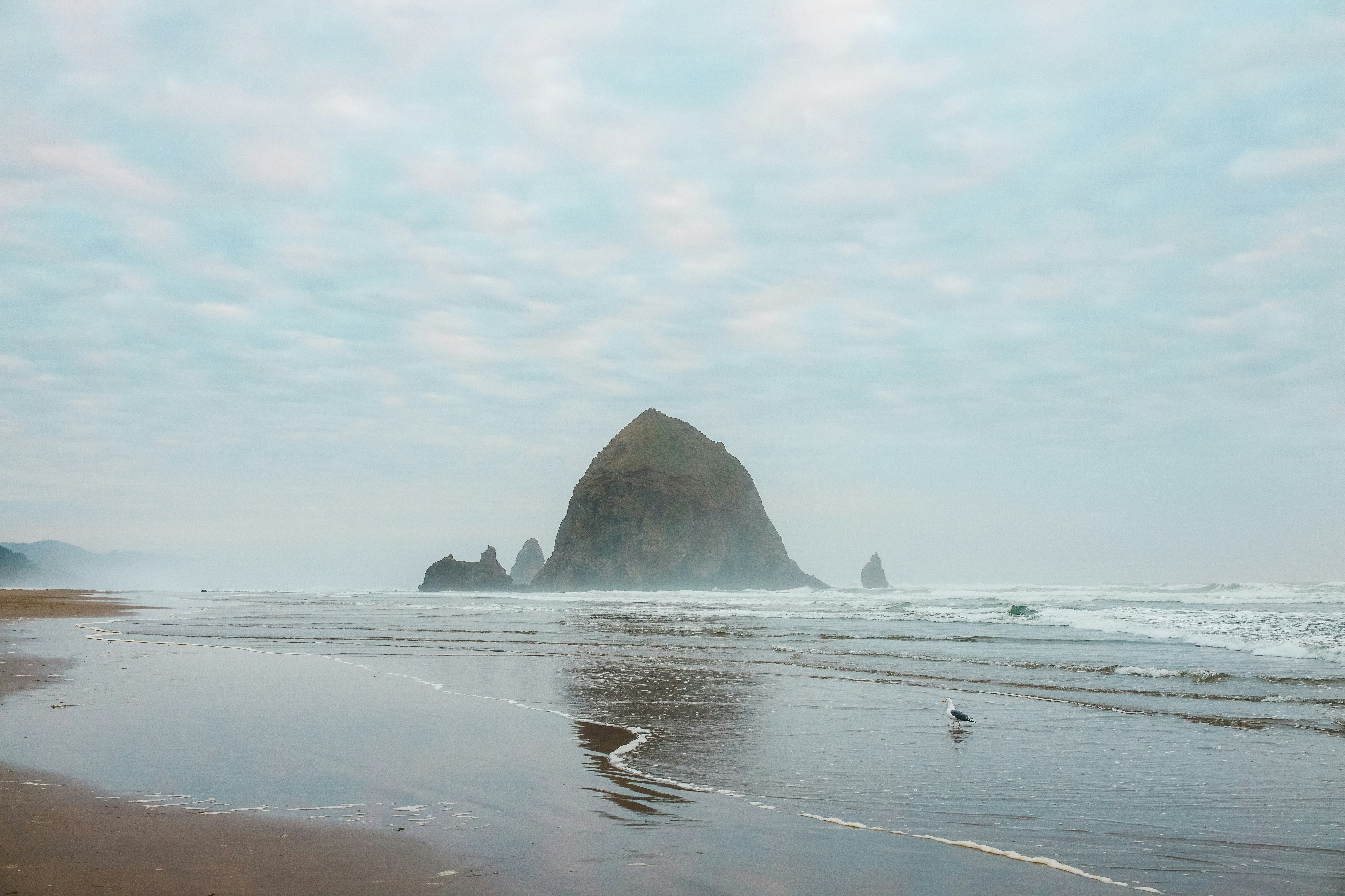 Photo by benmosesofin