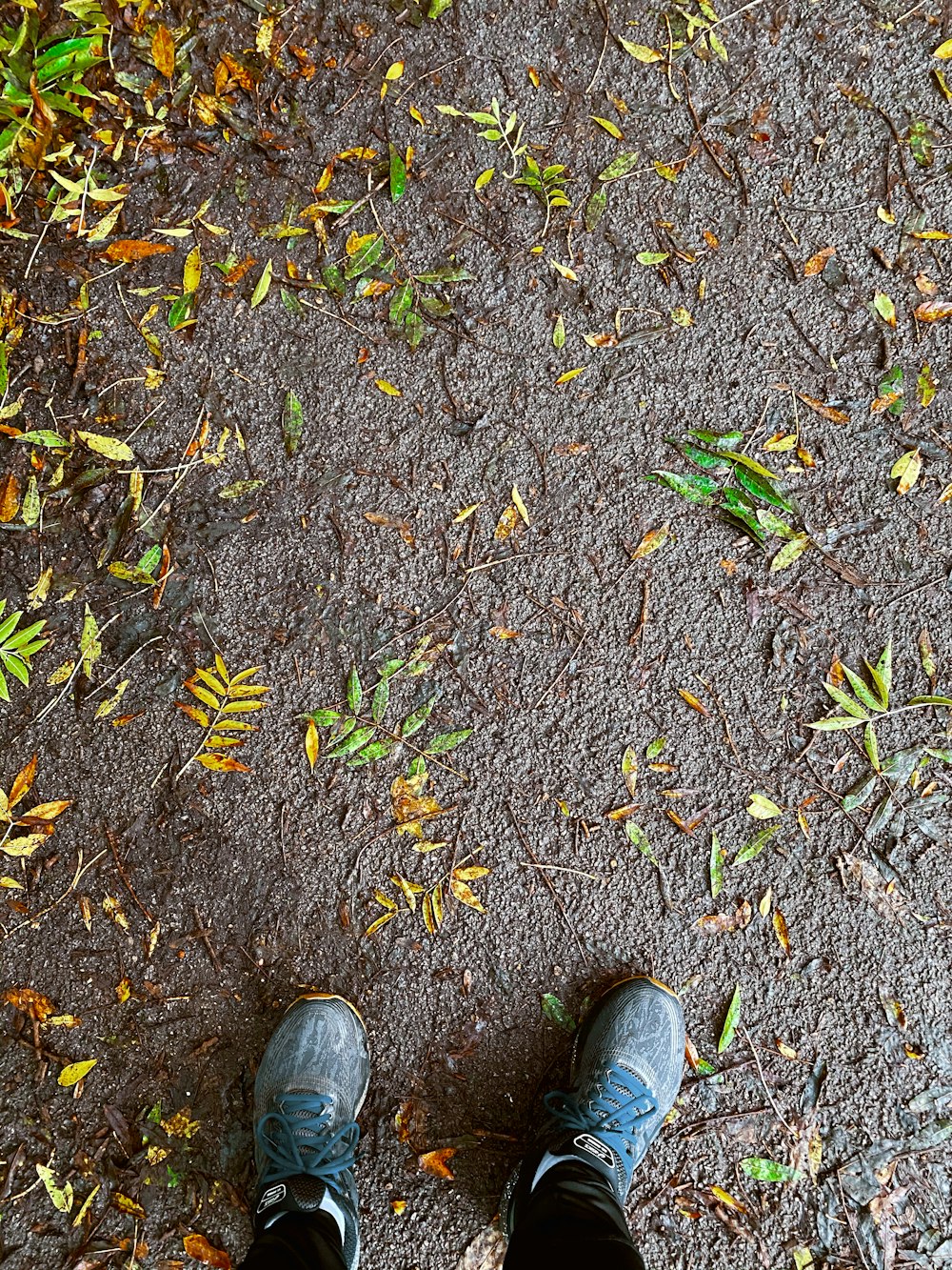 Person mit grauen Schuhen auf braunen getrockneten Blättern stehend