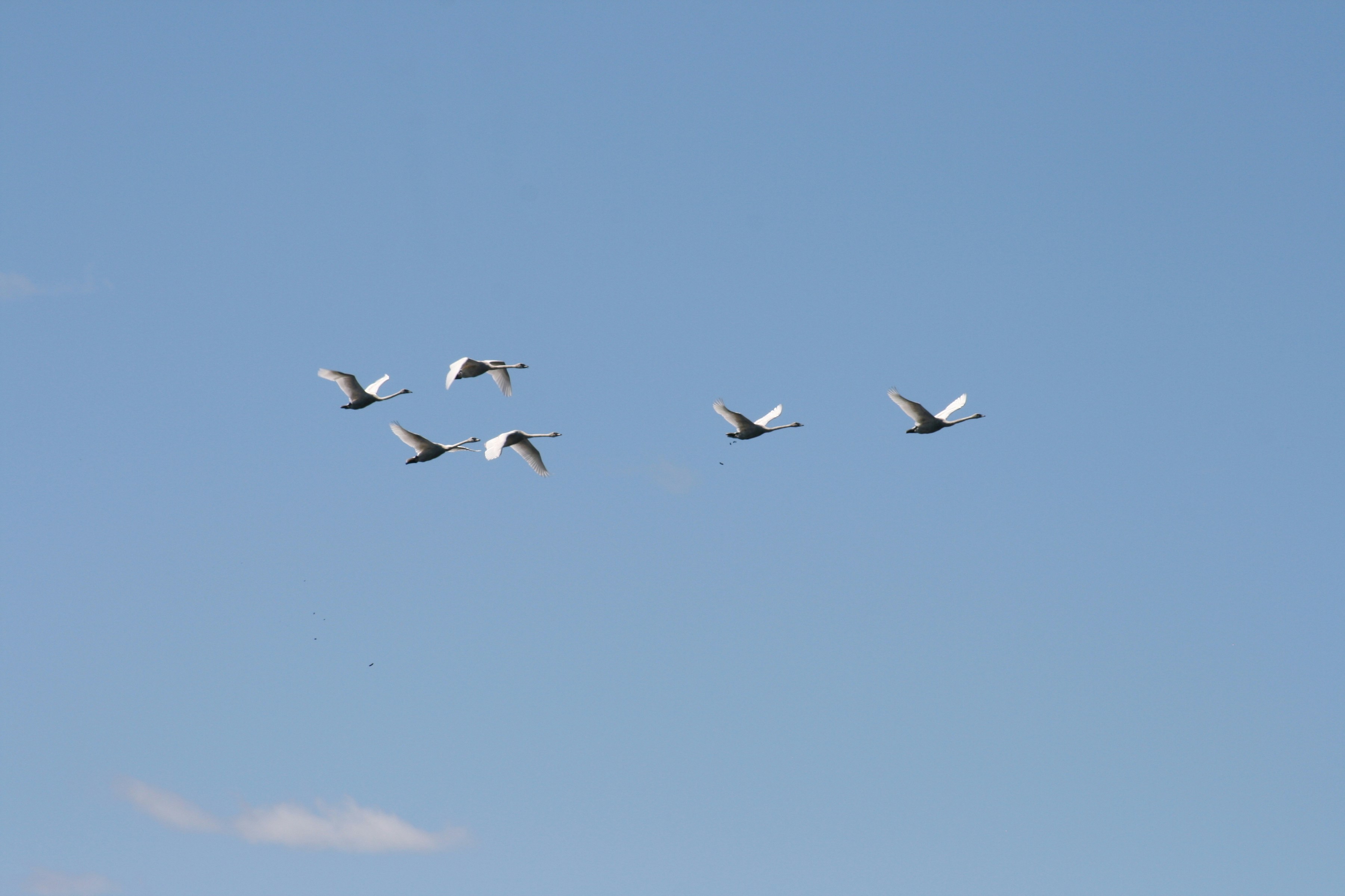 Photo by outhouseexhibitservices