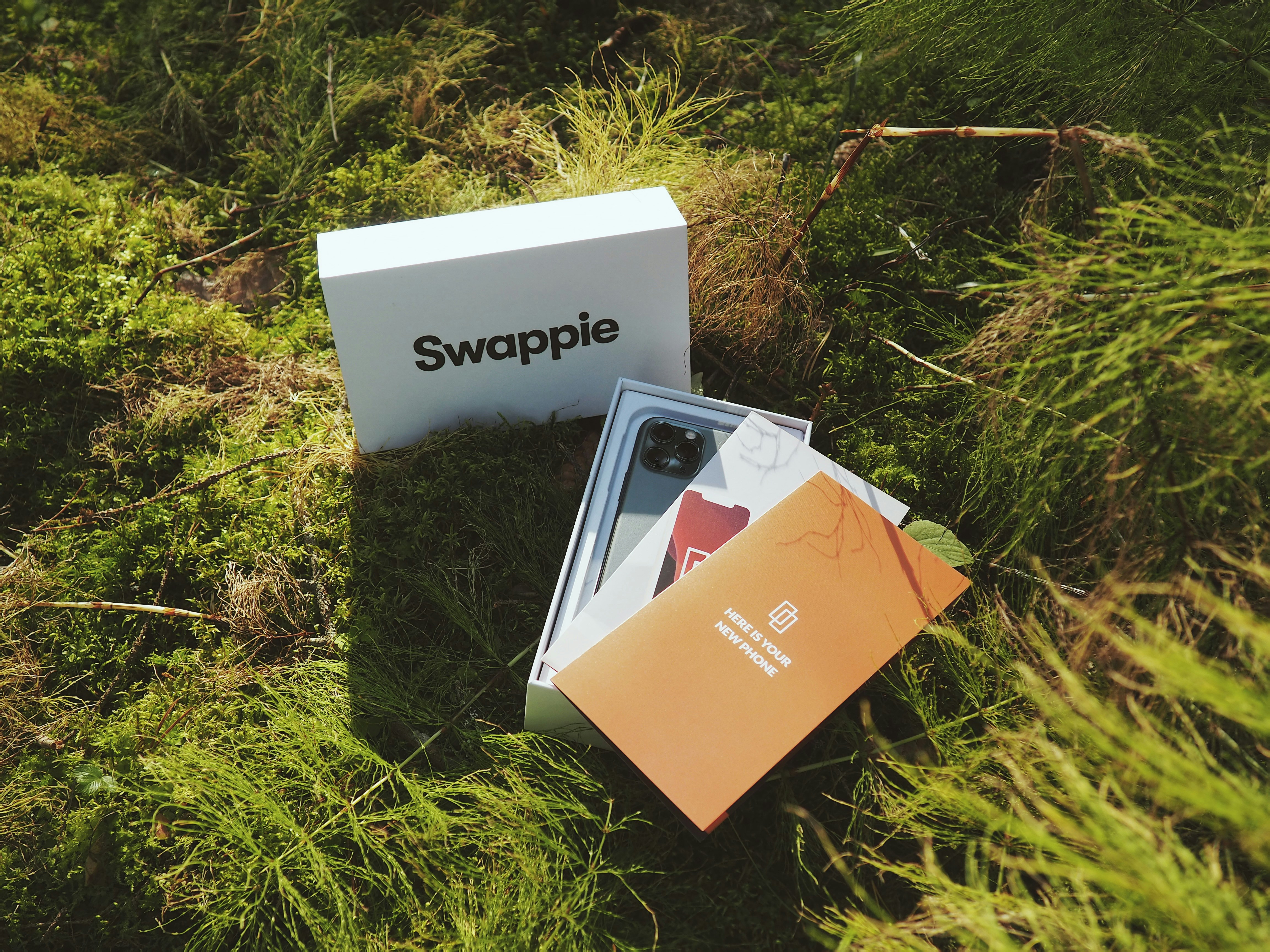 brown and white box on green grass
