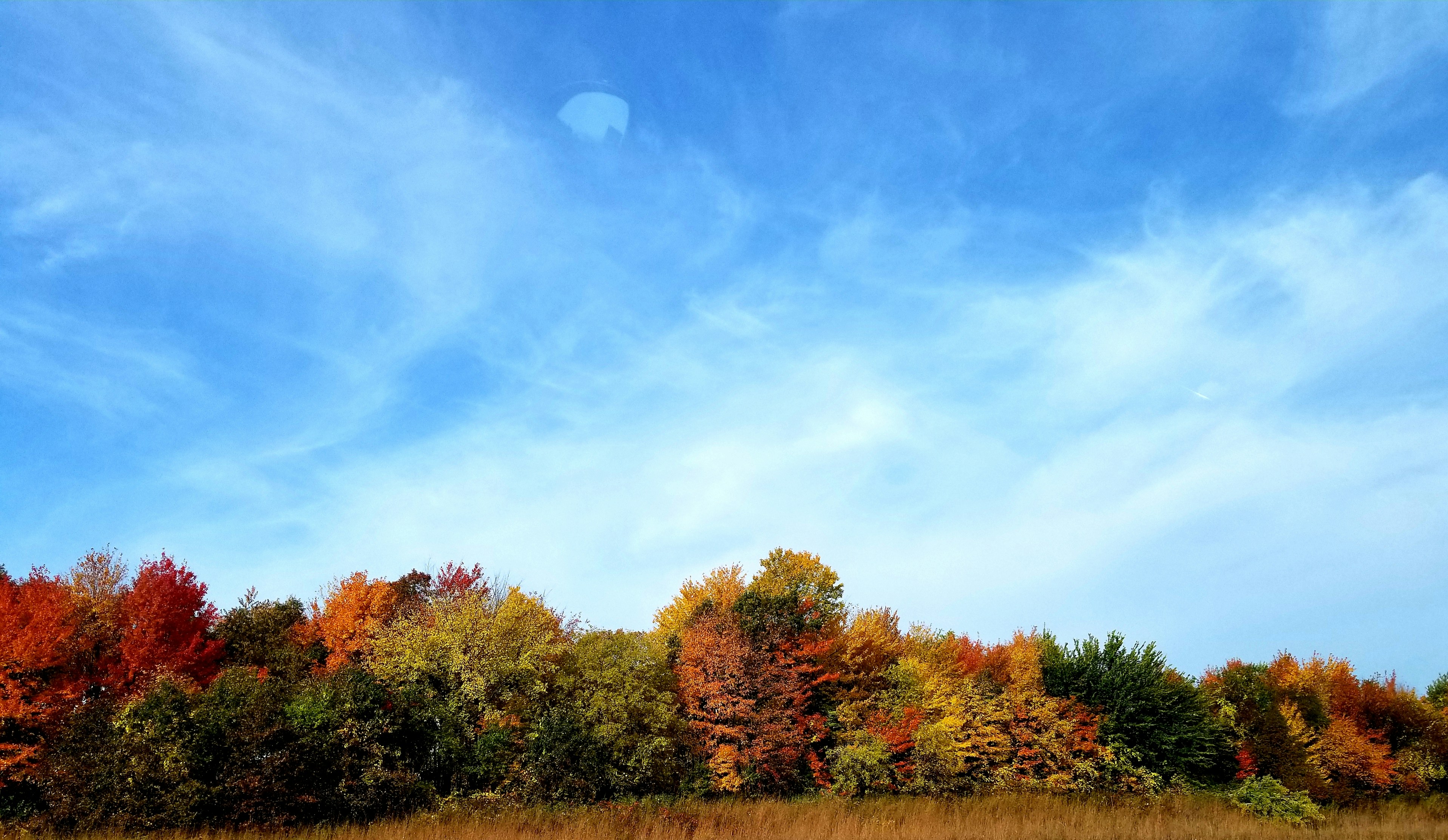 Photo by kimberlyeschenbauchphotography