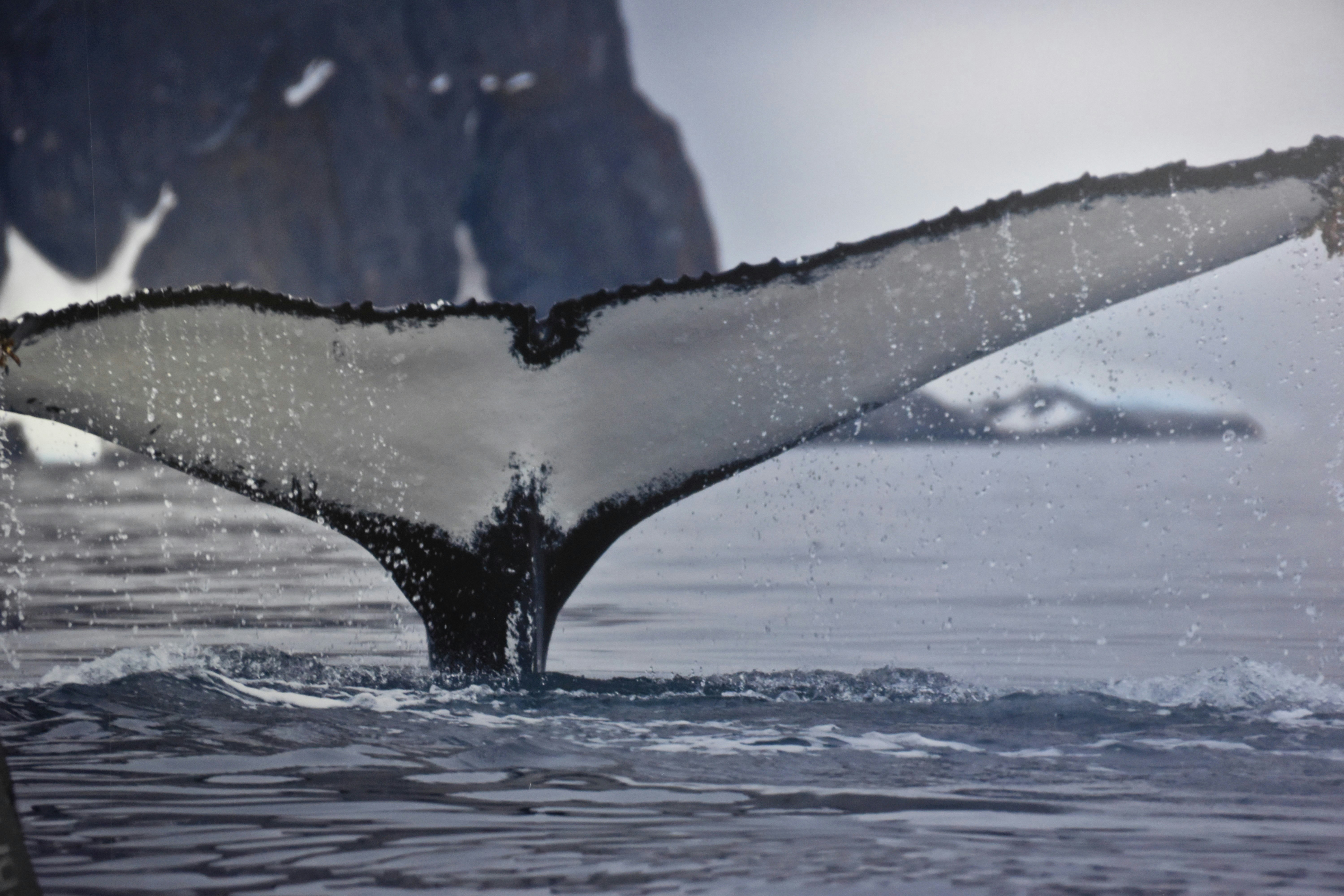 water splash on body of water