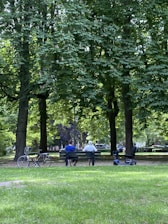 Two individuals sit on a park bench, surrounded by tall green trees and a lush grassy area. A bicycle is parked near the bench, and an electric mobility scooter is positioned on the other side. In the background, more trees and parked cars are visible, creating a tranquil and serene atmosphere.