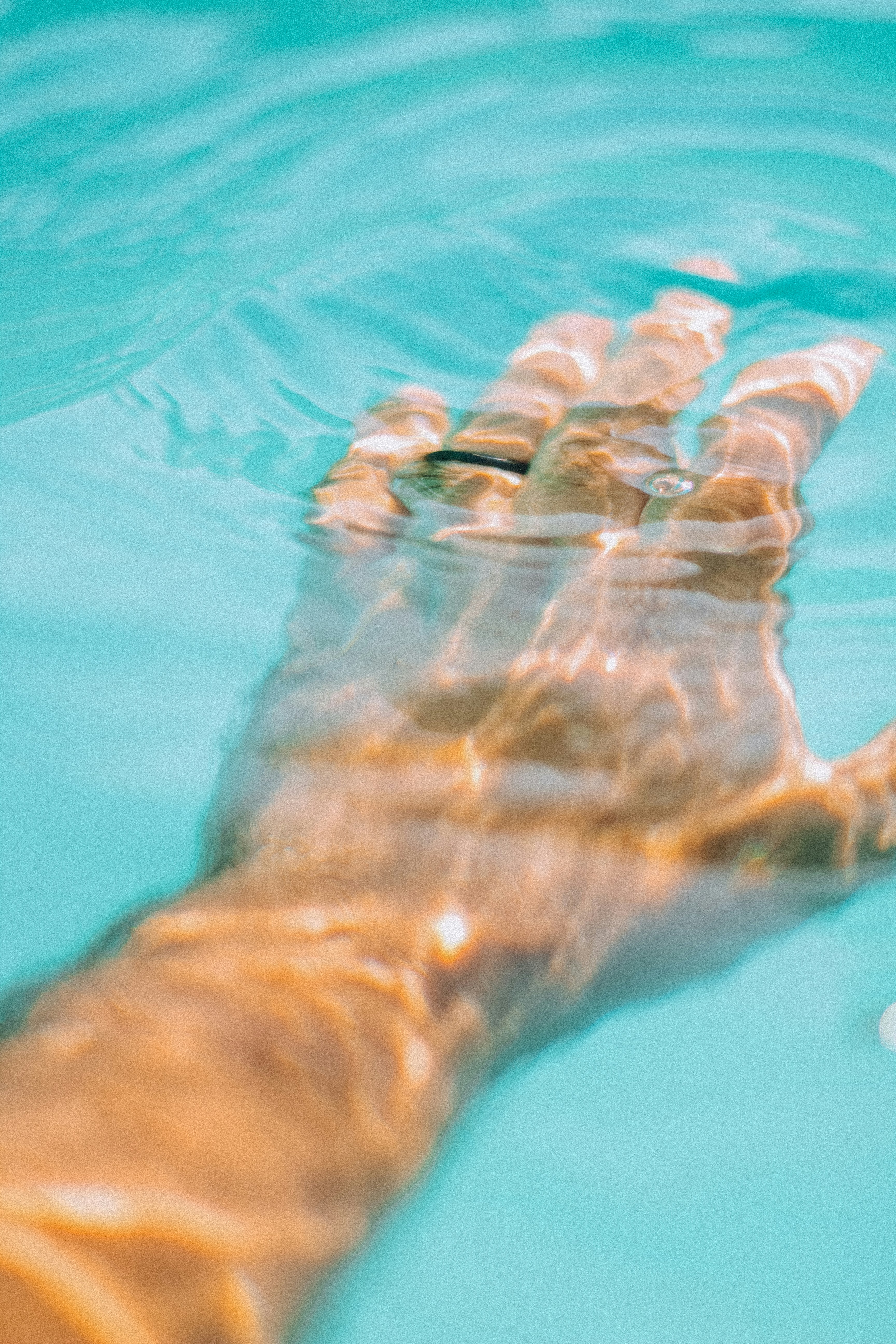 Photo by igorrodrigues