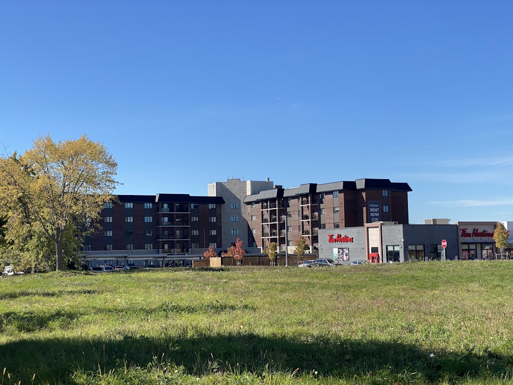 Grüner Rasenplatz in der Nähe des Gebäudes tagsüber