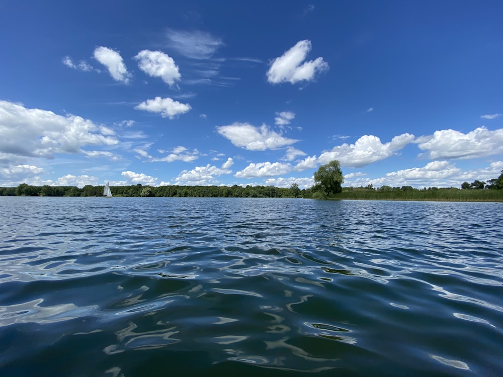 green trees beside body of water under blue sky and white clouds during daytime