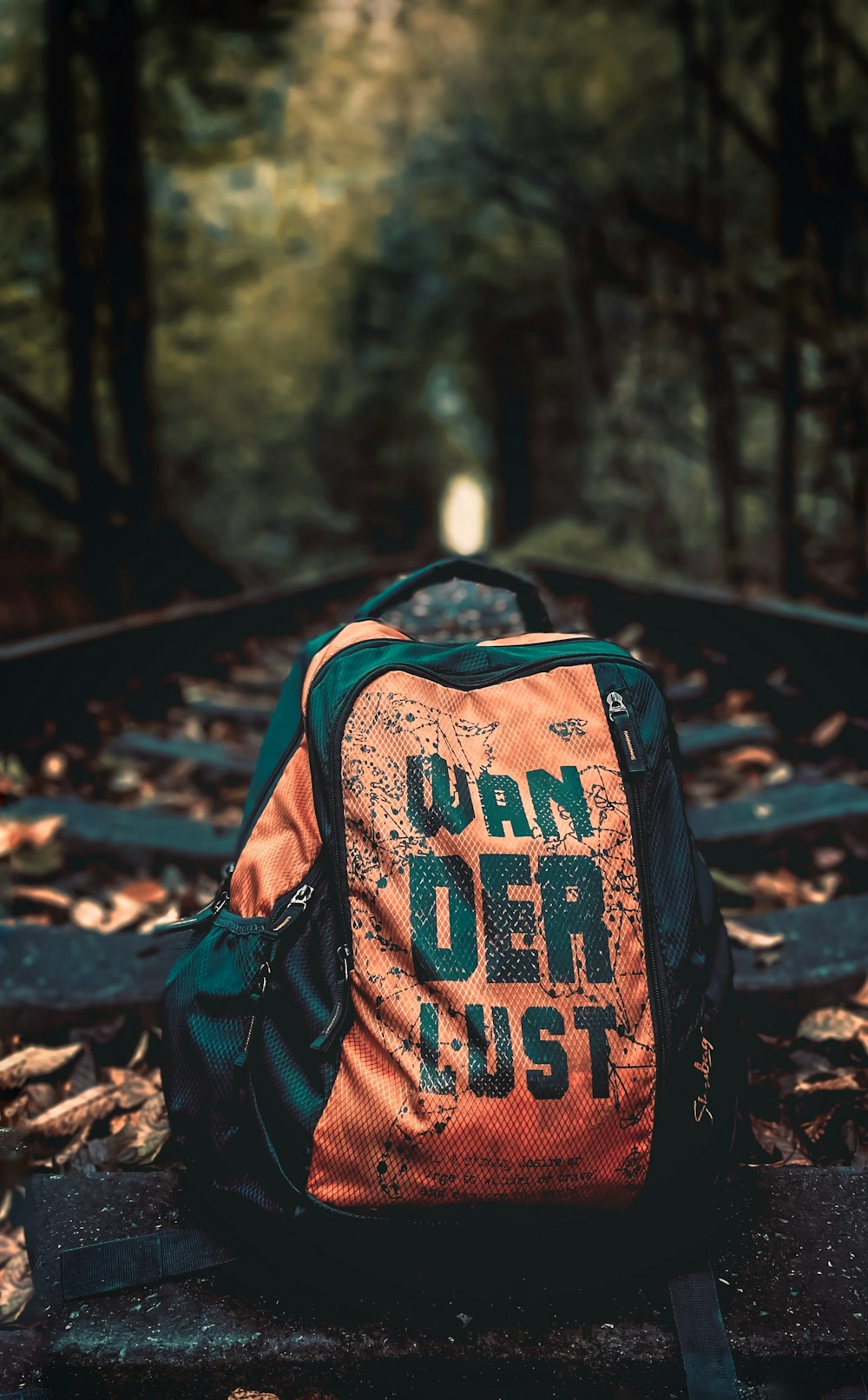 black and blue backpack on brown leaves