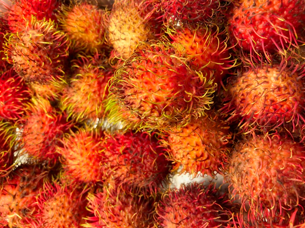 Pile of bright red hairy rambutan fruits
