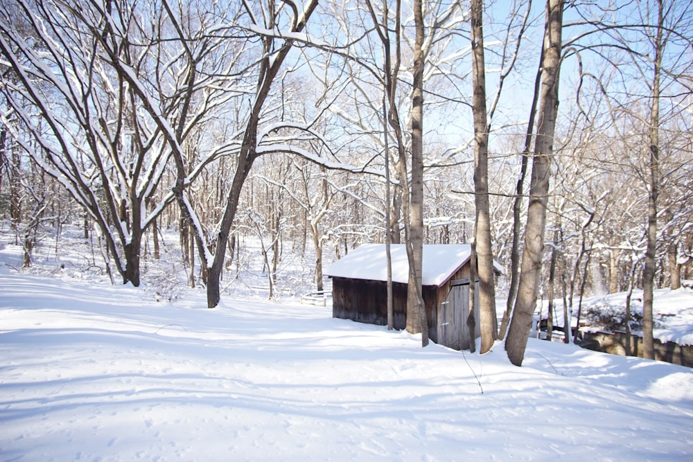 brown wooden house on snow covered ground