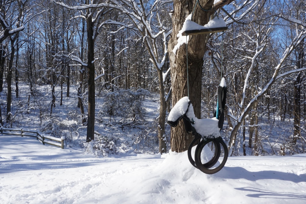 motocicletta nera coperta di neve vicino agli alberi spogli durante il giorno