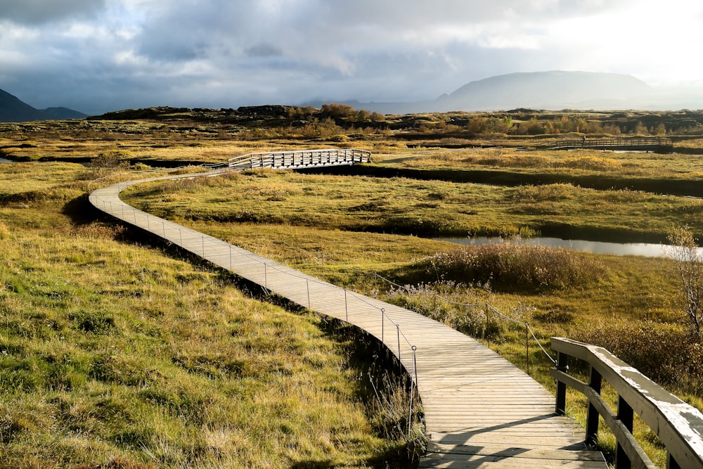 brown wooden dock on green grass field under gray cloudy sky during daytime