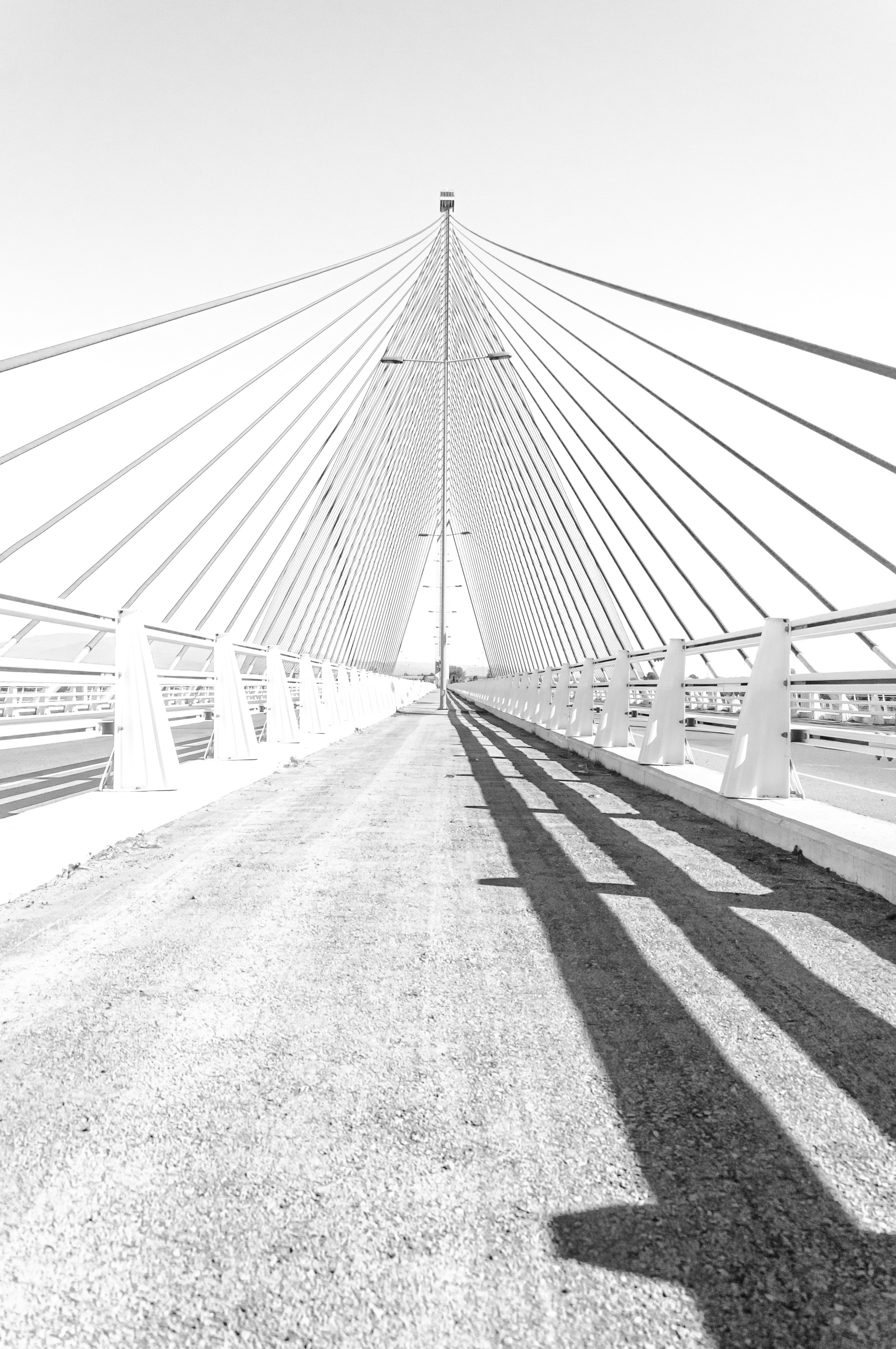 Photo by isimartinez