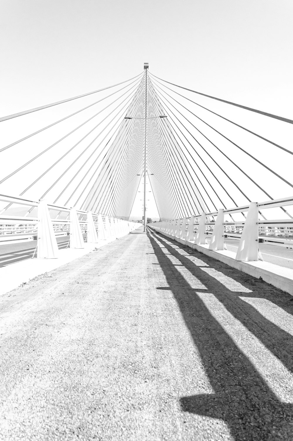 grayscale photo of bridge during daytime