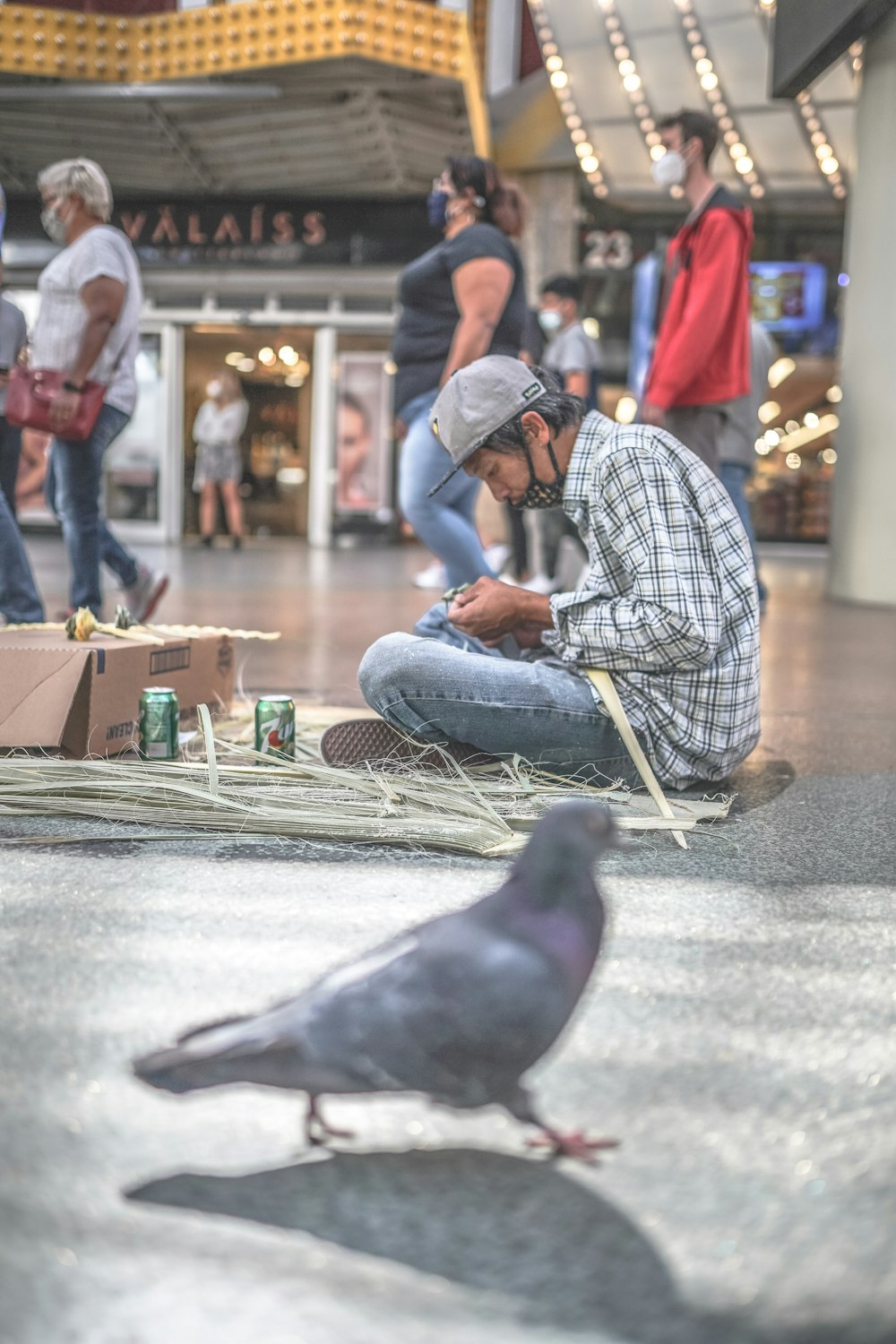 man in blue and white plaid dress shirt and blue denim jeans sitting on gray concrete