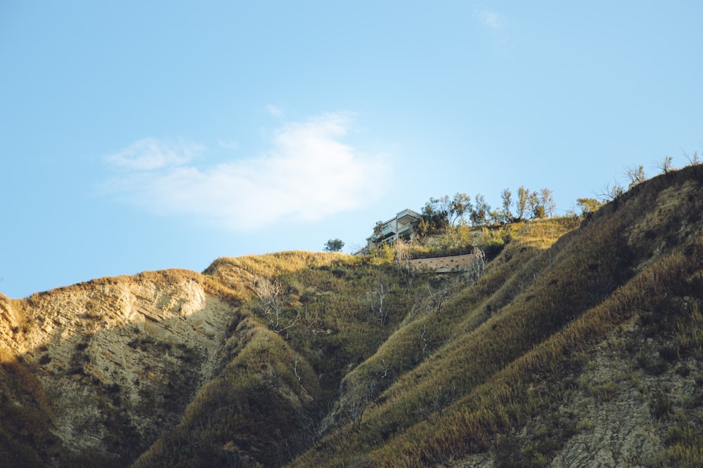 green trees on brown mountain under blue sky during daytime