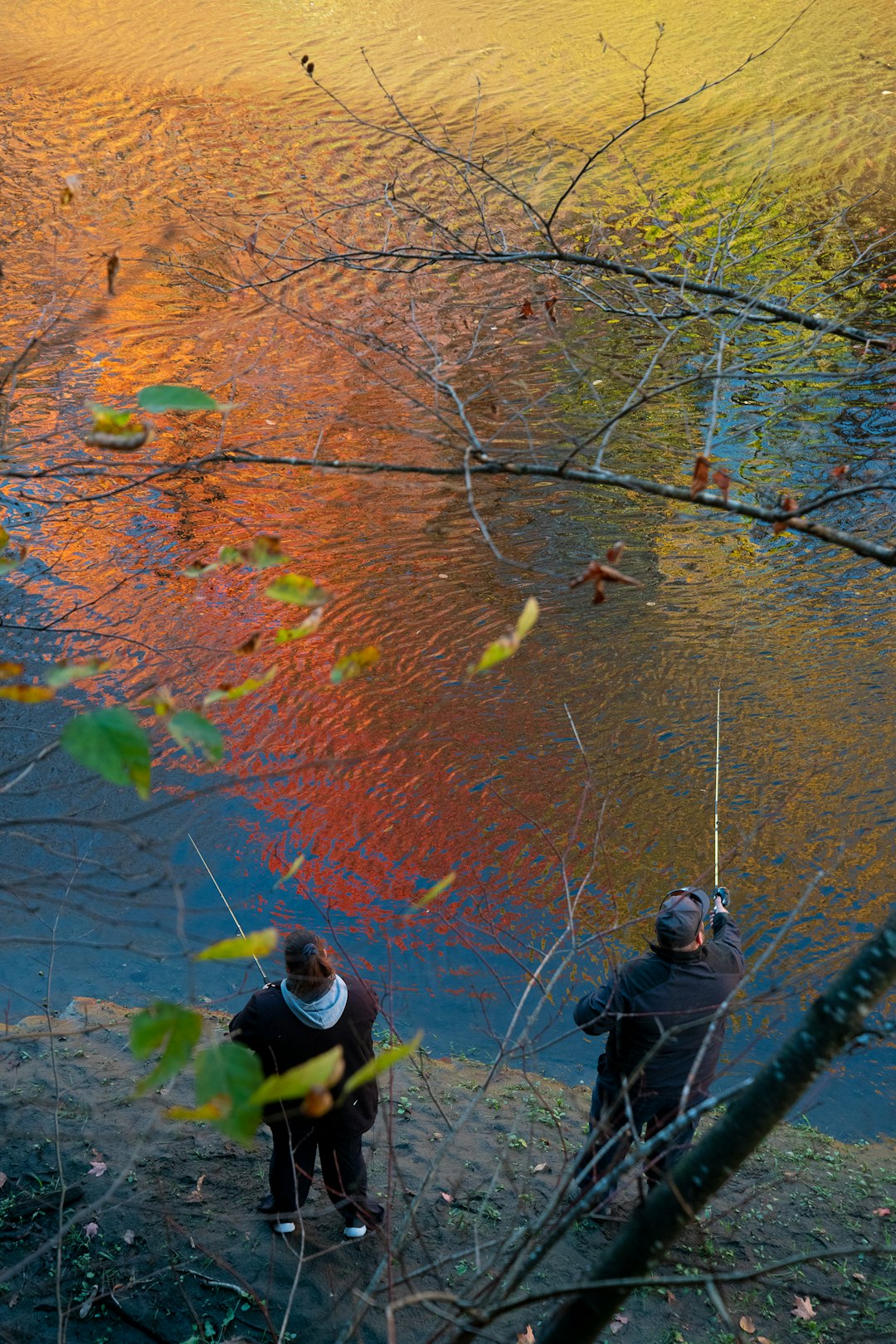 people fishing on river during daytime