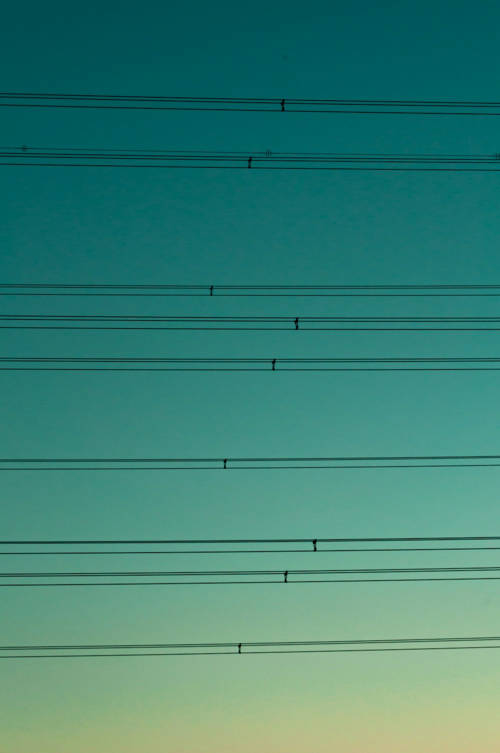 black electric wires under blue sky during daytime