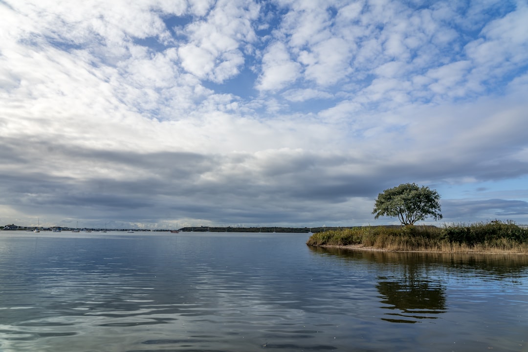 green trees beside body of water under blue sky and white clouds during daytime