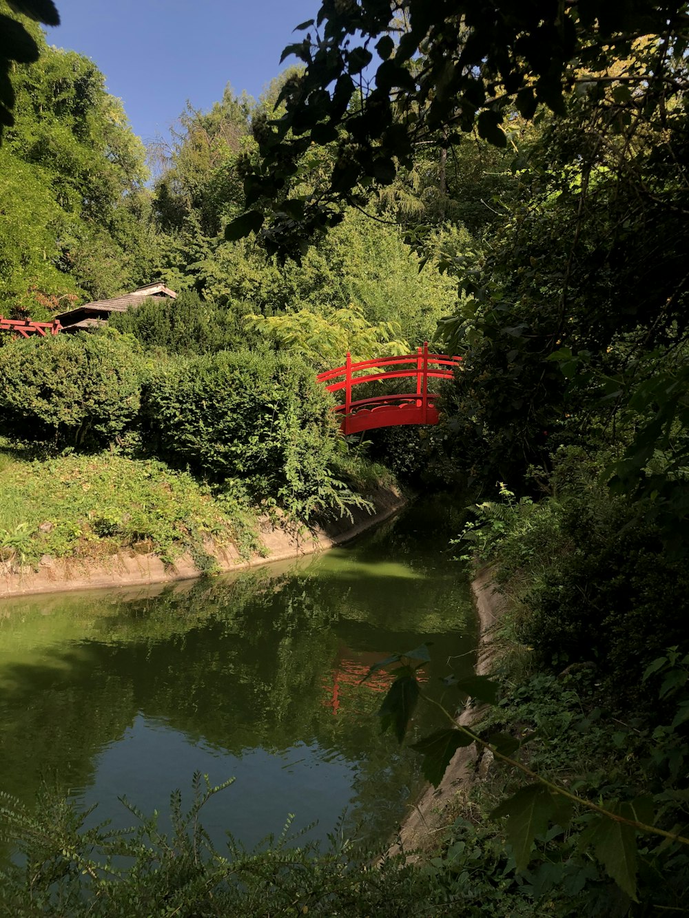 red boat on river during daytime