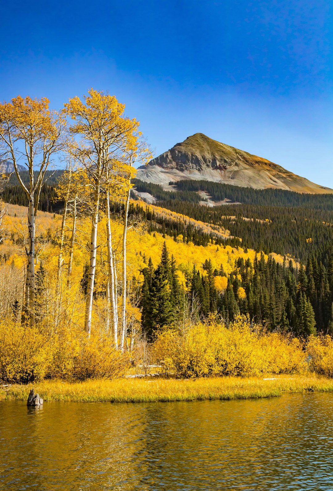 green trees near mountain under blue sky during daytime