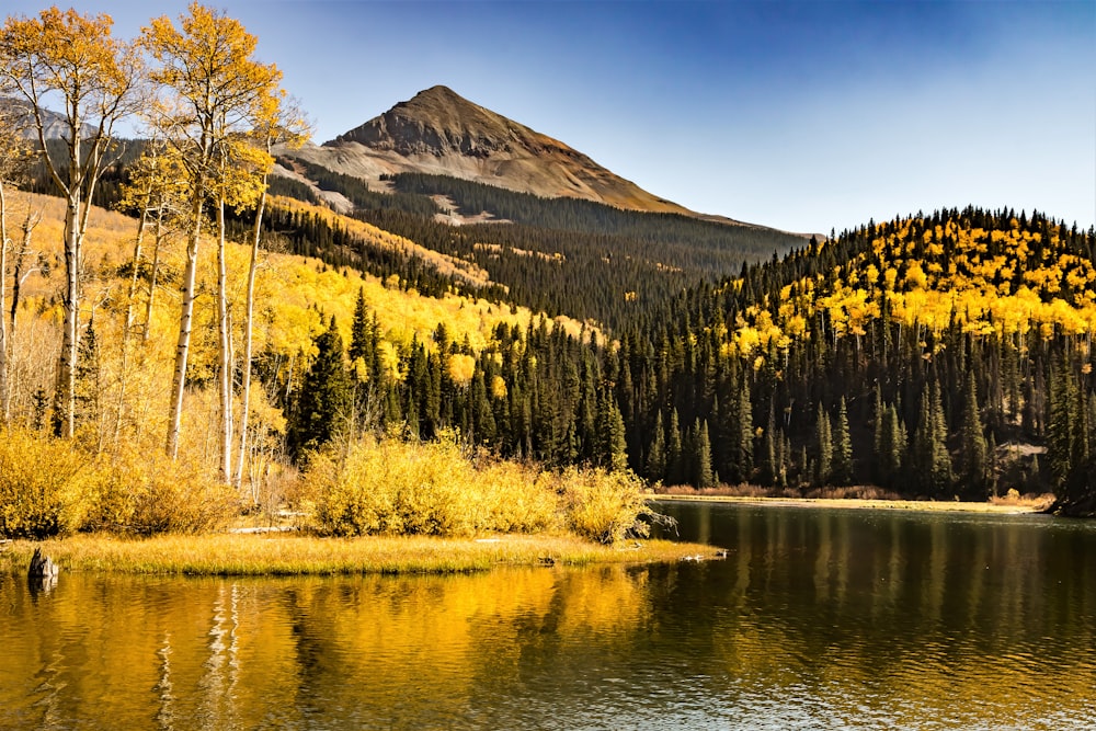 green trees near lake and mountain during daytime