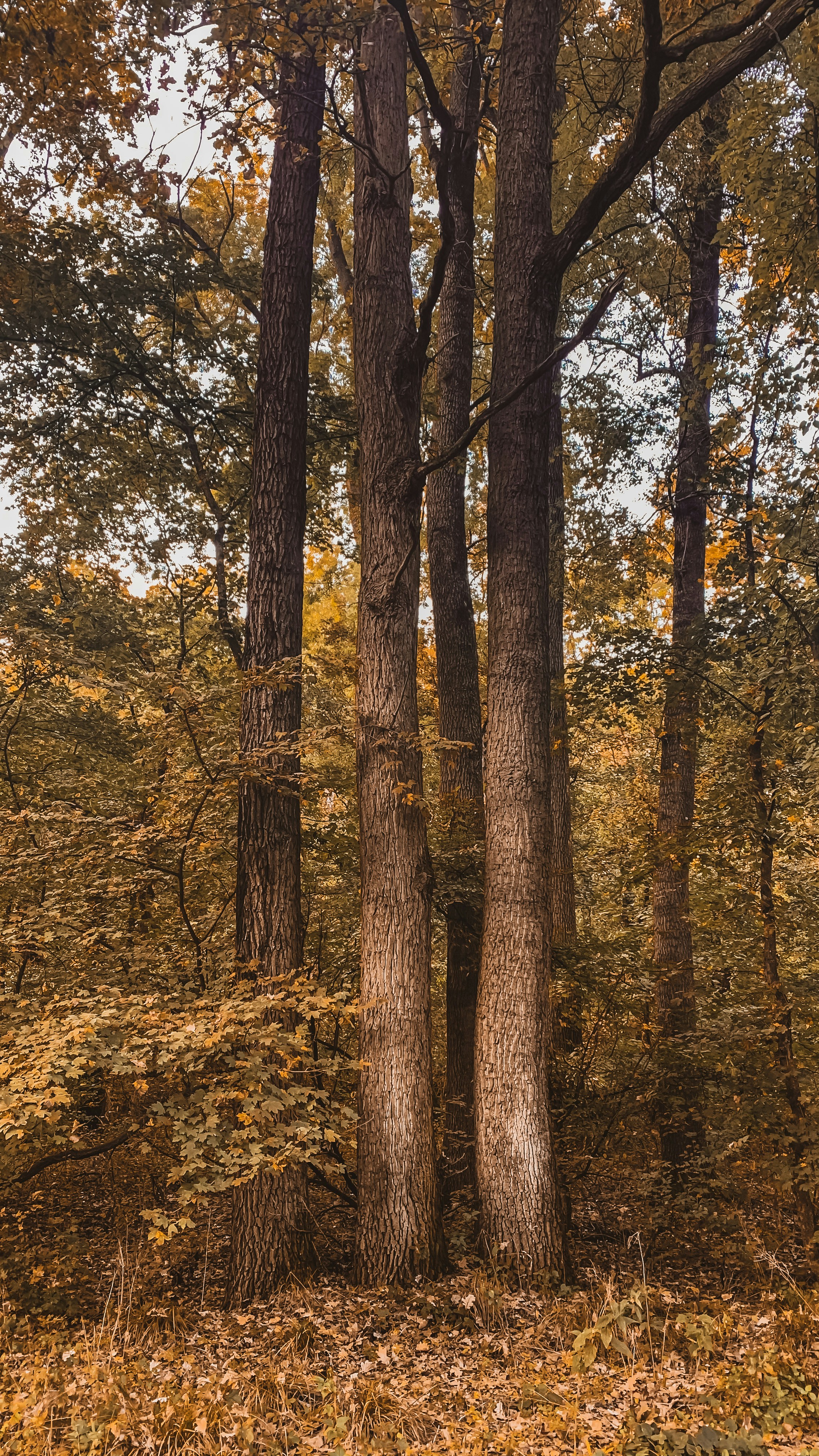 Photo by gamanalice3012