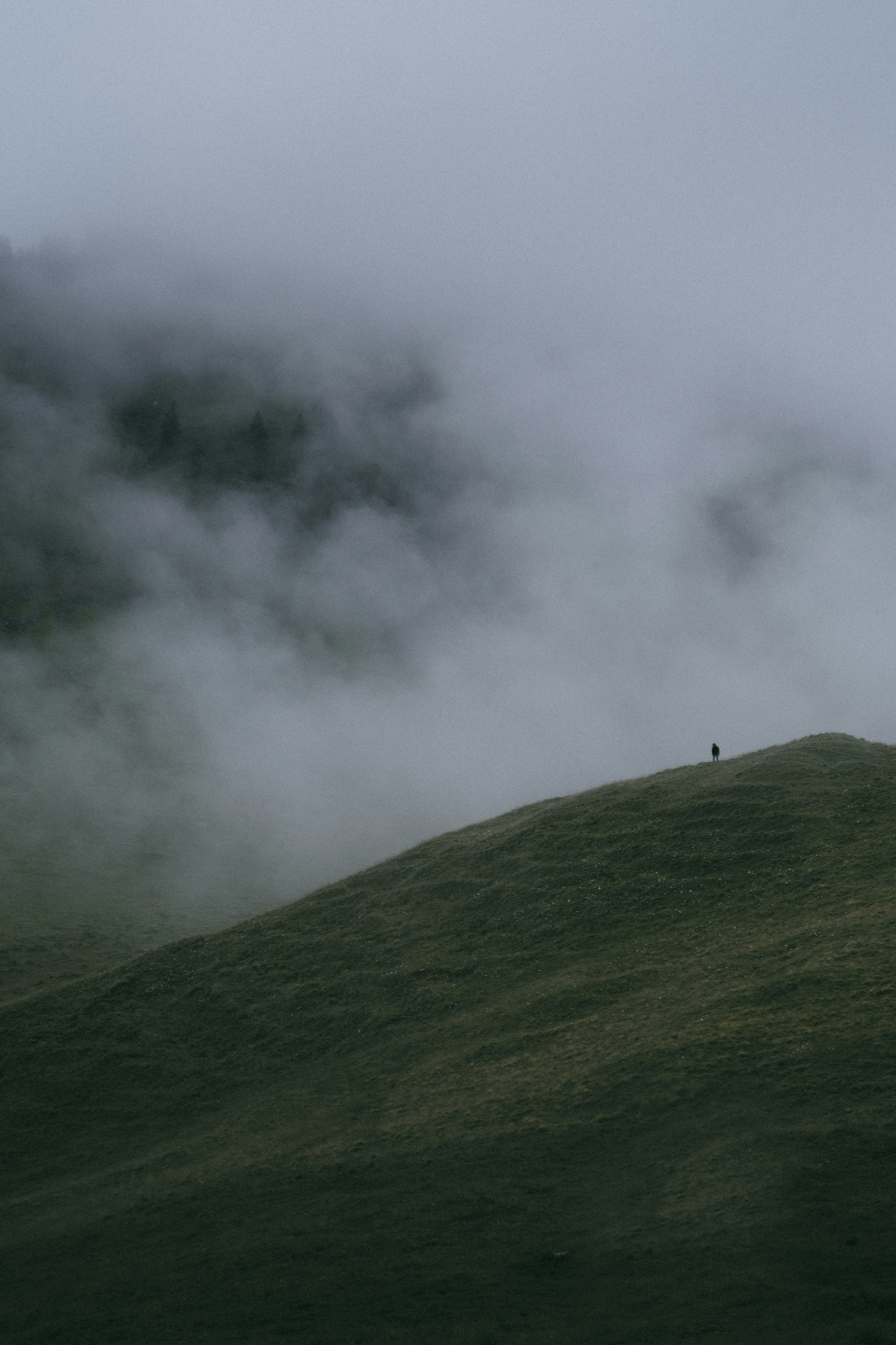 Photo by thomasdeluze