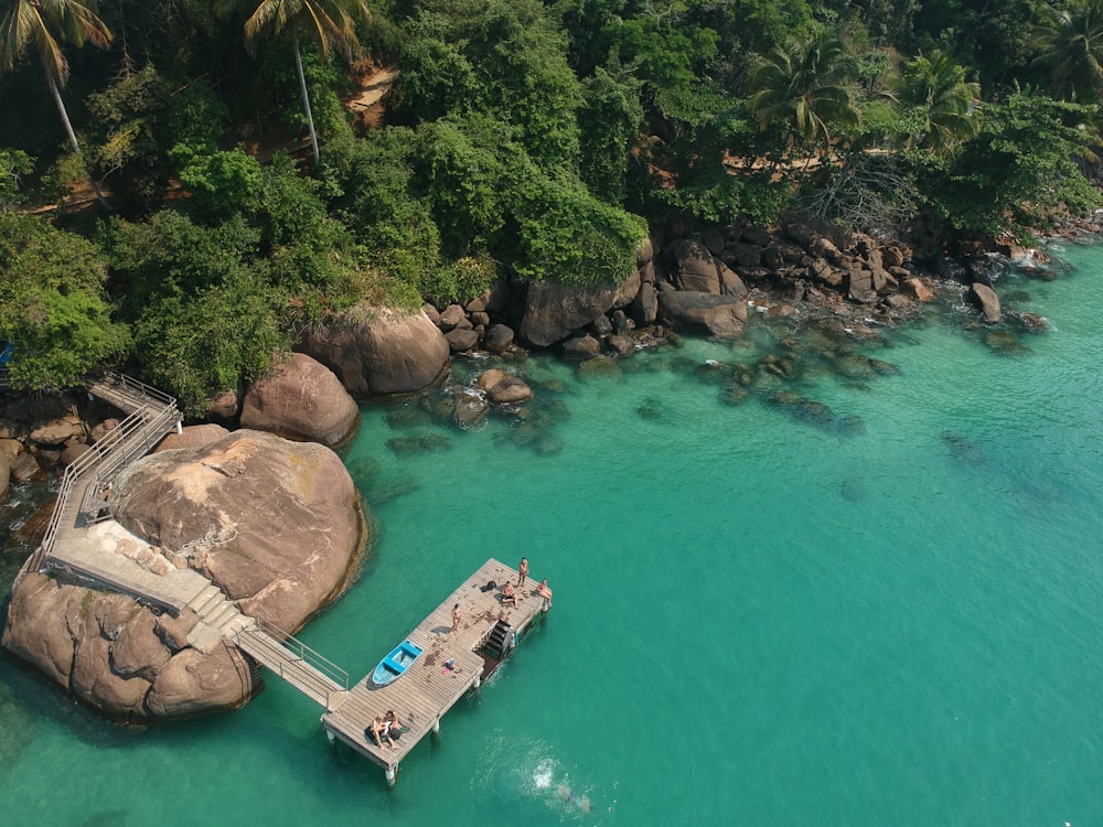 aerial view of green body of water